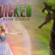 Wicked TV Insider